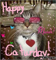 Some fse snow storm by liberty farms. Best Happy Caturday Gif Gifs Gfycat