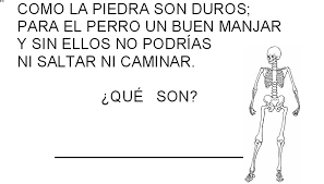 En ocasiones la respuesta más evidente que en un primer momento se nos viene ¿qué nivel de dificultad afrontaré en los juegos de lógica? 50 Adivinanzas Graciosas Acertijos Divertidos Para Ninos Con Respuestas Paraninos Org