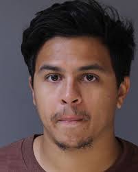 Crime: she does this thing where she climbs up behind me and then rests her  head