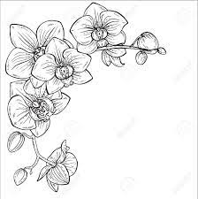 Orchideenblüte als geschenkdeko, bastelvorlage & plotterfreebie, silhouette, dxf, svg. Schone Monochrome Blumen Hintergrund Mit Orchidee Zweige Mit Bluten Im Grafischen Stil Lizenzfrei Nutzbare Vektorgrafiken Clip Arts Illustrationen Image 56647959