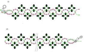 Looking for project with a specific stitch? Free Pattern For Bracelet Malavi Beads Magic Beaded Jewelry Patterns Seed Bead Bracelet Patterns Beaded Bracelet Patterns