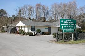 'pet emergency clinic of pitt county.' Partners Community Partnership For Pets