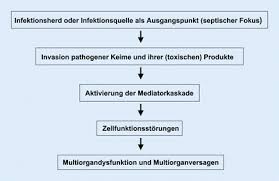 Postmortale Sepsisdiagnostik Springerlink