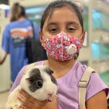 Thank you to all who came out to our PetSmart Guinea Pig Adoption Event! We  are excited to say that 30 of the 42 piggies were adopted today!! If you  weren't able