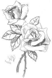 730x1094 Full Hd Rose Line Drawing Photo 3d Best Rose Drawings Ideas Roses Drawing Flower Drawing Rose Flower Sketch