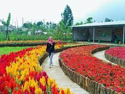 We did not find results for: Tahukah Anda Arti Mimpi Berada Di Taman Bunga