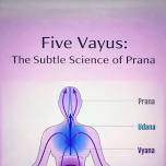 Five Vayus: The Subtle Science of Prana — Be Here Yoga
