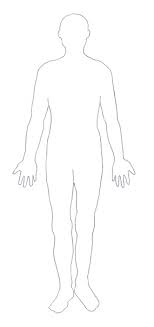 There is a wide range of normality of female body shapes. Human Body Diagram Medical Clipart
