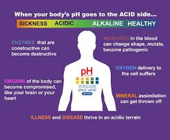 Acid And Alkaline Body Ph Chart Designer Water South Africa