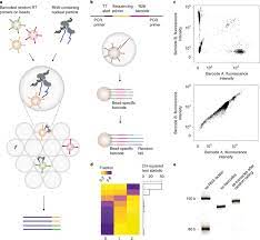 Rna Proximity Sequencing Reveals The Spatial Organization Of The Transcriptome In The Nucleus Nature Biotechnology