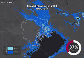 You can also find interactive maps that i made on google maps for each neighborhood in the. Sea Level Rise Projection Map Tokyo Earth Org Past Present Future