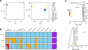 Uloz.to is the largest czech cloud storage. Whole Genome Sequencing Of 128 Camels Across Asia Provides Insights Into Origin And Migration Of Domestic Bactrian Camels Biorxiv