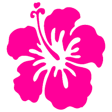 Hibiscus Border Flower Clipart Hawaiian Art Art Images