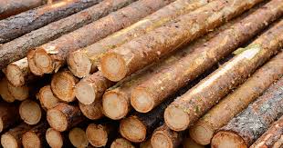 Image result for log