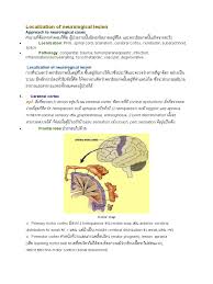 Image result for Neurologic Lesion Localization
