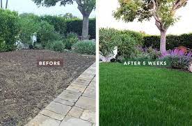 1 Grotrax Grass Lawn Repair In 2021 Lawn Repair Lush Lawn Bermuda Grass