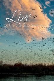 Birds Of A Feather Flock Together Meaning In Hindi The Merciful Servant Photo Nature Photography Nature Pictures