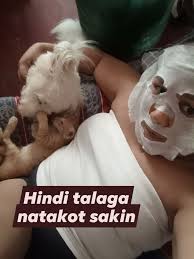 Akala ko talaga matakot sila Orange at Thor Pero ayan nasa tabi ko  #happyweekend #juddslife #weekendvibes #MyThor #furbabiesarefamily  #follower #everyone #myOrange