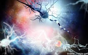 Multiple Sklerose Symptome Diagnostik Therapie Gelbe Liste