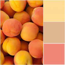 1001 Einrichtungs Und Modeideen In Apricot Farbe Rosa Farbpaletten Grune Farbpalette Wandfarbe Farbtone