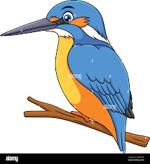 Cute Kingfisher bird cartoon vector illustration Stock Vector Image & Art -  Alamy