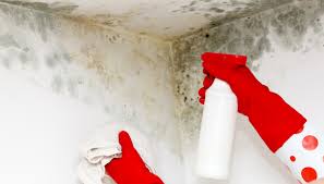 Come lascia intendere il termine stesso, per deumidificatore s'intende quell'elemento della casa, perlopiù un elettrodomestico, in grado di togliere l'umidità presente in qualsiasi ambiente interno. Muffa I Metodi Piu Efficaci Per Eliminarla E I Danni Per La Salute Dilei