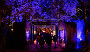 Drawing Inspiration From The Local Culture Of Osaka Its Neon Colours Humour And Vibrance This Lumina Night Walk Invi In This Moment Night Walking Forest Light