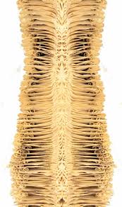 Book Spine By Bronia Sawyer Book Sculpture Altered Book Art Book Art