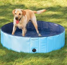 41 Insanely Clever Products Your Dog Deserves To Own Dog Pool Dog Swimming Dog Swimming Pools