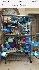 Cage Goals Rat Cage Diy Rat Toys Rat Toys