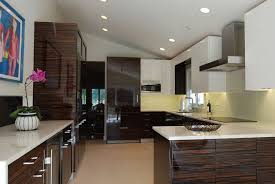 Contemporary Kitchen High Gloss Madagascar Veneer Kitchen Decor Kitchen Design Wood Kitchen Cabinets