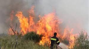 Η φωτιά καίει δασική έκταση, δεν απειλεί κατοικημένη περιοχή. Samos Mainetai Ane3elegkth Fwtia Se Peykodasos Aftodioikisi Gr