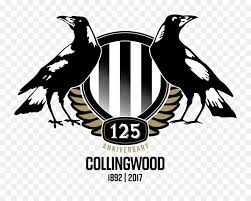 Here you can explore hq collingwood football club transparent illustrations, icons and clipart with filter setting like size, type, color etc. Football Season