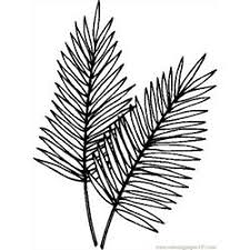 Colora online gratis il disegno palm leaf. Palm Coloring Pages For Kids Download Palm Printable Coloring Pages Coloringpages101 Com
