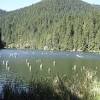 Cine a spus ca in romania nu ai ce vizita nu stie ce locuri frumoase ascunde taramul romanesc. Https Encrypted Tbn0 Gstatic Com Images Q Tbn And9gcqxddjuyyfdofcciimczghyqsb1drqqdhaggn20gwc4h74negwz Usqp Cau