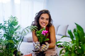 Maybe you would like to learn more about one of these? Grow A Vegetable Garden In Your College Dorm Room Xfreehub