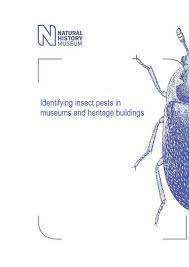 The preferred living environment for most humans also provides the. Pdf Identifying Insect Pests In Museums And Heritage Buildings