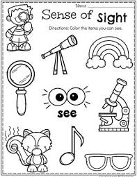 5 Senses Planning Playtime Senses Preschool Five Senses Preschool Senses Activities