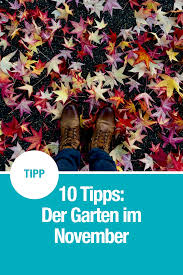 10 Gartentipps Fur November Gartentipps Garten Herbstgarten