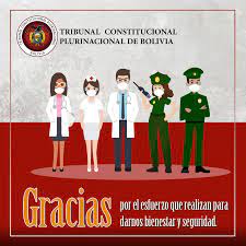 Gracias Por La Noble Labor Que Realizan Tribunal Constitucional Plurinacional De Bolivia Facebook
