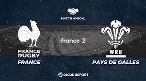 Match Amical Notre Pronostic Pour France Pays De Galles Dicodusport