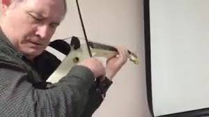 Profile for Barry Bowers