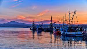 Snug Cove Eden Australia Cool Pictures Post Holiday Blues Cove