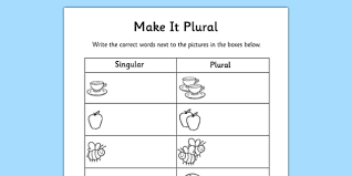Singular And Plural Worksheet Years 3 6 Words Vocabulary