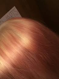 L'or?al paris pr?f?rence 9.1 hellaschblond 3er pack (3 x 1 st?ck) enpollortanarun. Orange Blonde Haare Neutralisieren Haarfarbe Farben