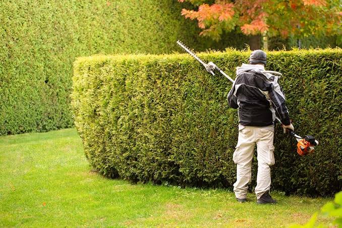 Garden team trimming a lawn edge in Dartford DA3