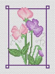 July Sweet Peas Free Cross Stitch Chart Amanda Gregory