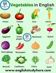 Pin By Abderrazak Oualha On Zoom In 2020 Name Of Vegetables Vegetables English Study