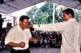Because teofilo stevenson was an amateur that went to multiple olympic games in the '70's and beat up 19 year old college kids. Boxing S Great Debate Could Teofilo Stevenson Have Beaten Muhammad Ali David Anderson Mirror Online