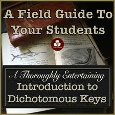 Your Students Won T Know Why You Are Having Them Answer Questions And Punch Holes In Cards Until You Demonstrate What Dichotomous Key Fun Science Field Guide